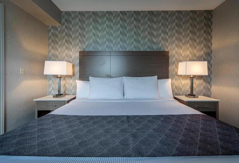 Otel Monte Carlo Inn Markham