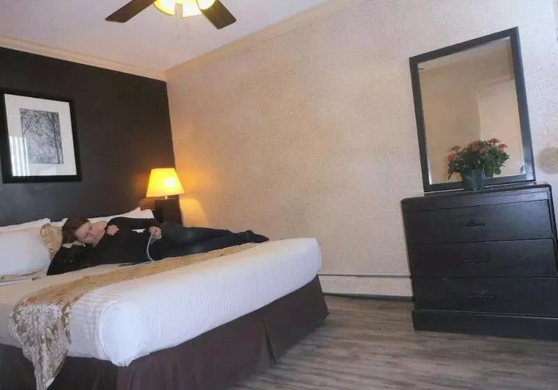 Hotel Divya Sutra Suites On Robson Downtown Vancouver