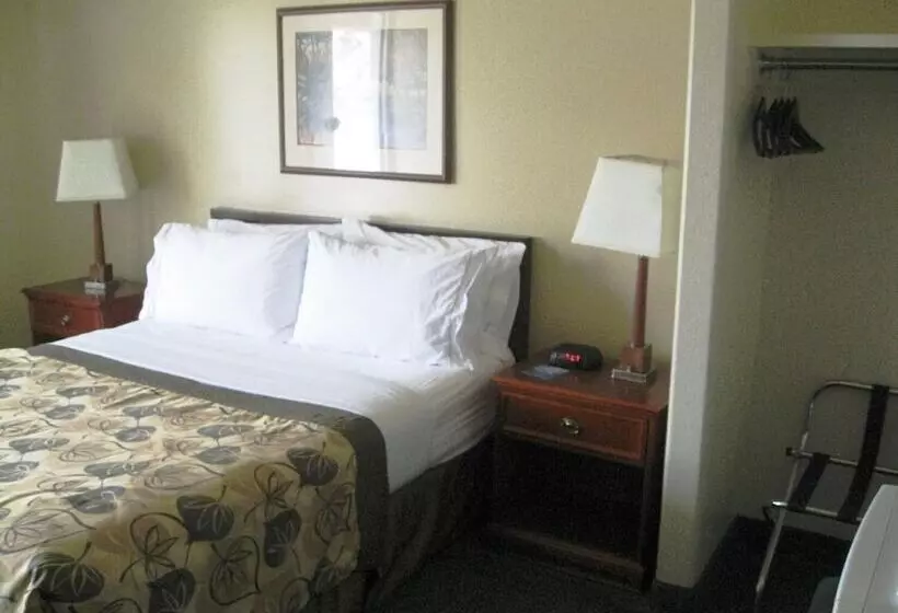 Отель Travelodge By Wyndham Drumheller Ab