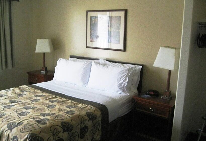 בית מלון כפרי Travelodge By Wyndham Drumheller Ab