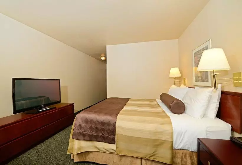 모텔 Siding 16 Lodge