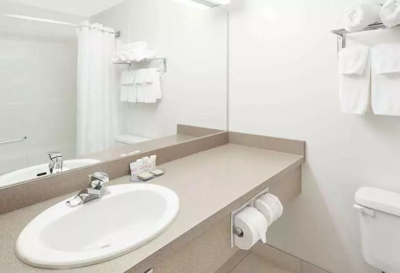 汽车旅馆  Super 8 By Wyndham High River Ab