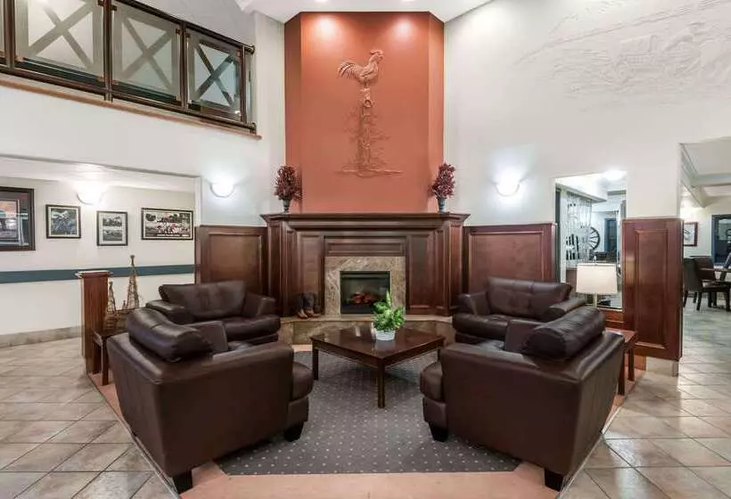 汽车旅馆  Super 8 By Wyndham High River Ab