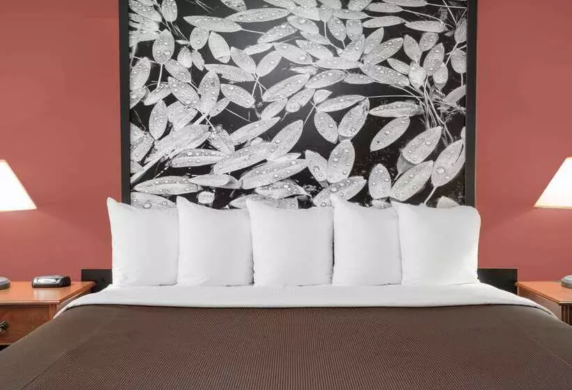 汽车旅馆  Super 8 By Wyndham Sault Ste Marie On