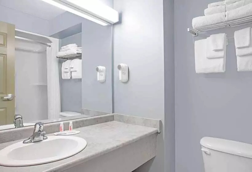 汽车旅馆  Super 8 By Wyndham Sault Ste Marie On