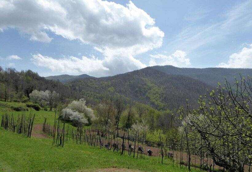 Charming Detached House In Lucca Province