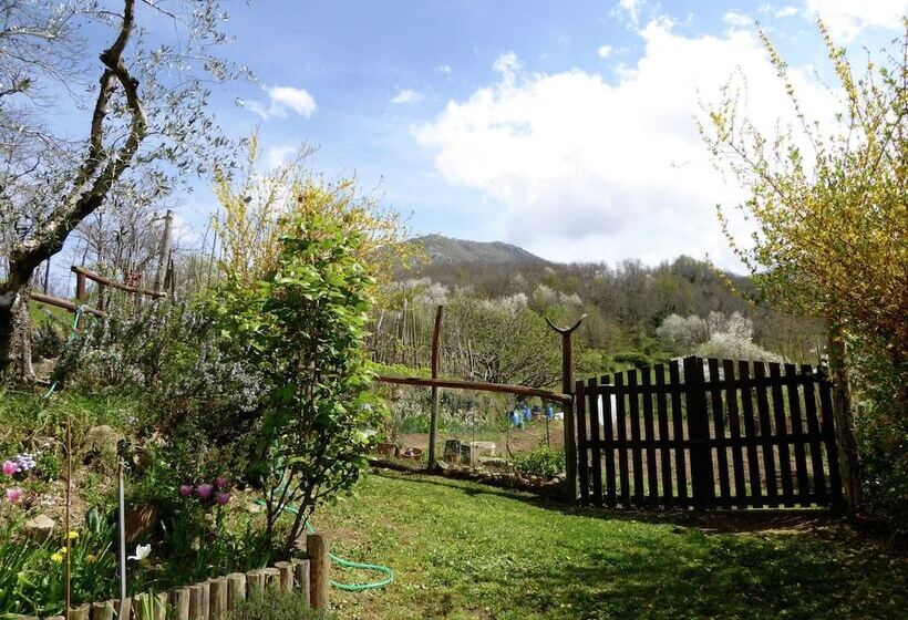 Charming Detached House In Lucca Province