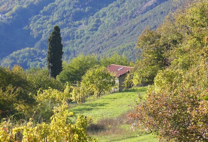 Charming Detached House In Lucca Province