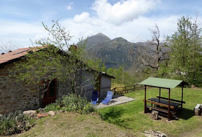 Charming Detached House In Lucca Province