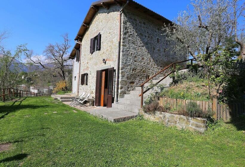 Charming Detached House In Lucca Province
