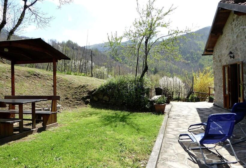 Charming Detached House In Lucca Province