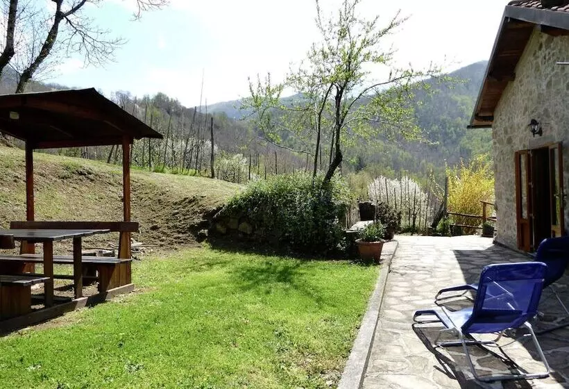 Charming Detached House In Lucca Province