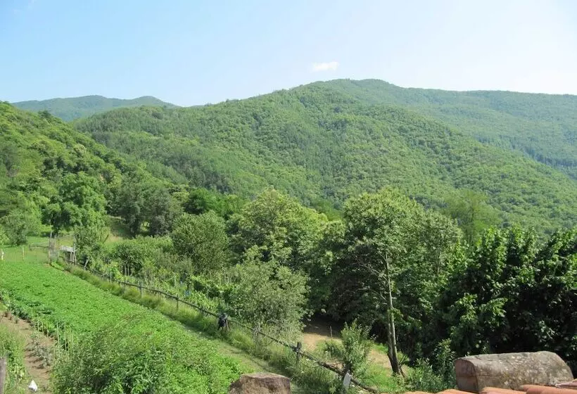Charming Detached House In Lucca Province