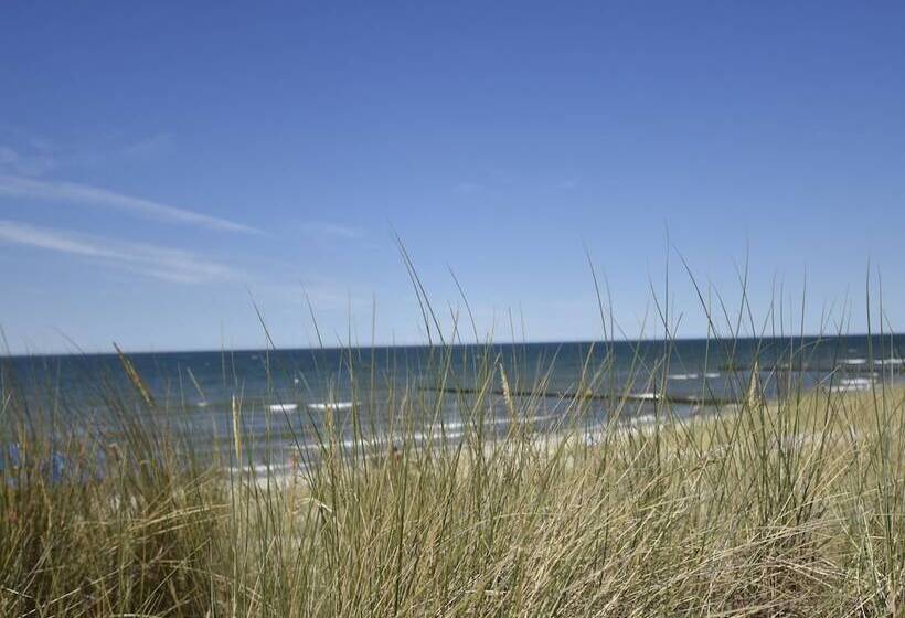 Holiday Home With Terrace In Graal Muritz