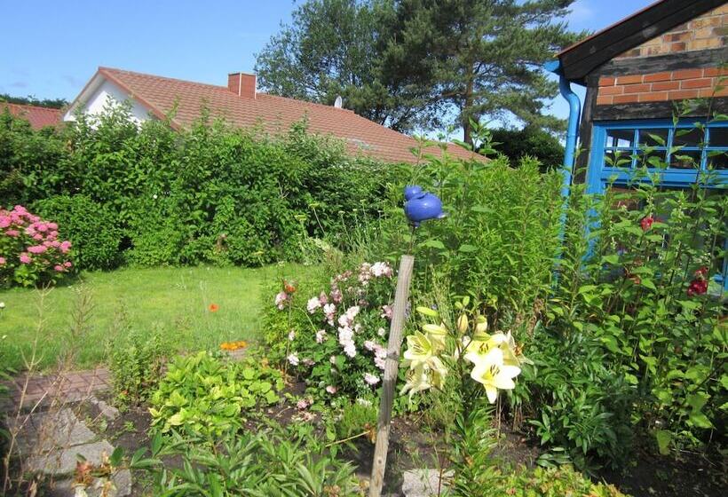 Holiday Home With Terrace In Graal Muritz