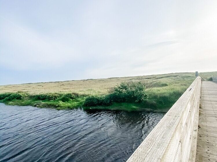 酒店 Pacific Dunes Resort