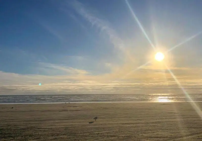 ホテル Pacific Dunes Resort