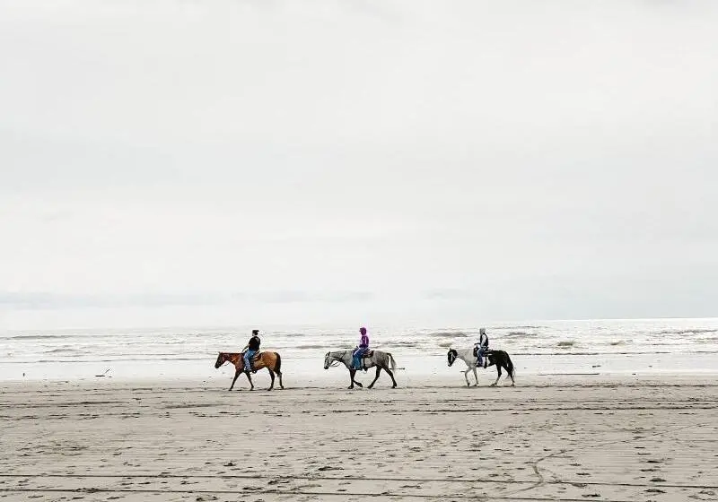 ホテル Pacific Dunes Resort