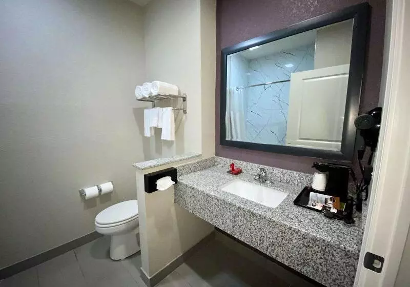 Surestay Plus Hotel By Best Western Ada