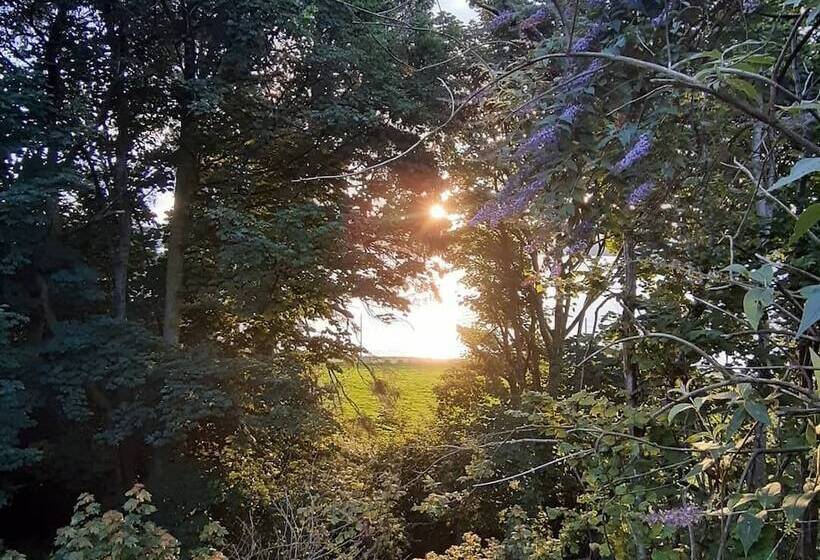 Off Grid Hideaway On The West Coast Of Scotland