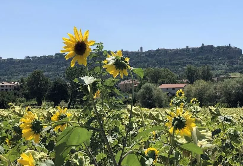 レジデンス Entire House With Panoramic Views And Use Of Pool