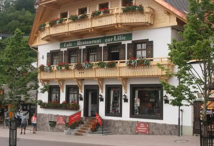Hotelli Gästehaus Zur Lilie