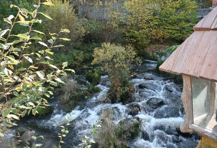 ホテル Gästehaus Zur Lilie