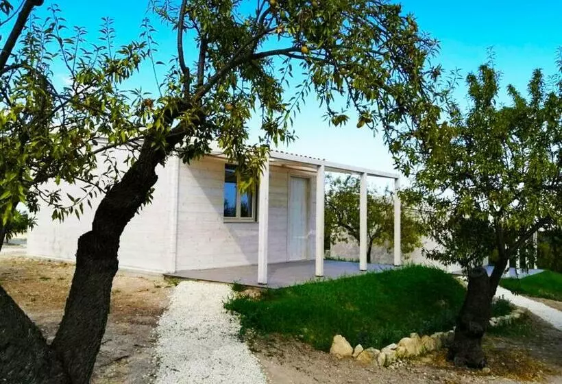 ホテル Mennuli&alivi   Organic Farm