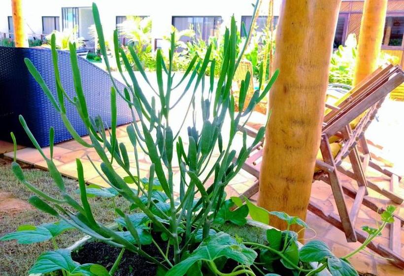 פנסיון Mar Turquesa Eco Pousada