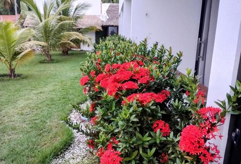 פנסיון Mar Turquesa Eco Pousada