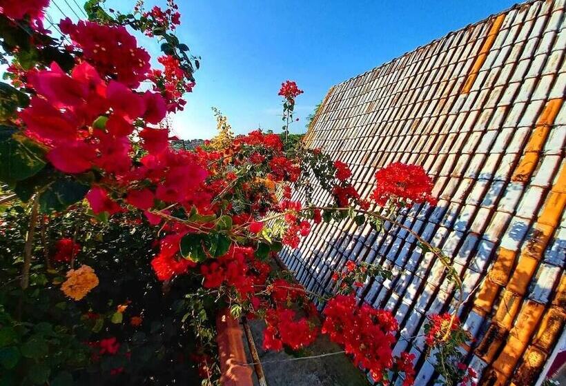 پانسیون Chalés Pismel