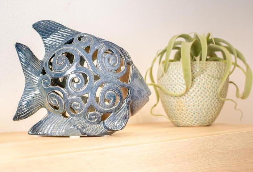 بنسيون Piombino 1428