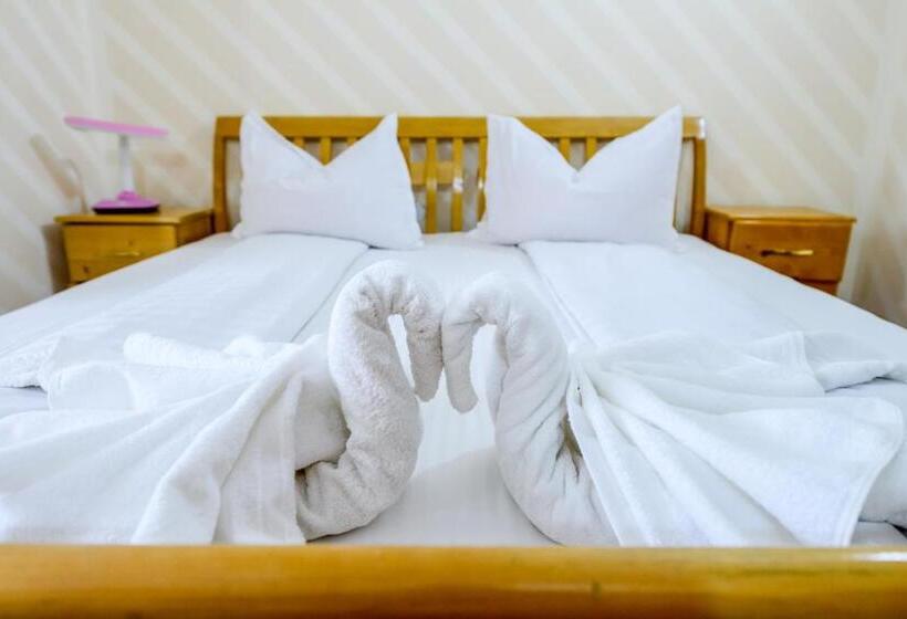 Pensiune Roata Cu Noroc