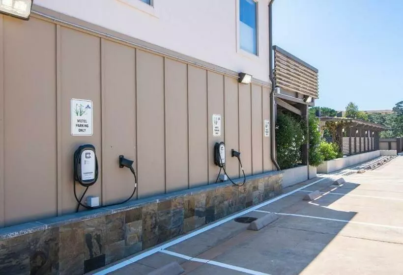 Wildflower Boutique Motel