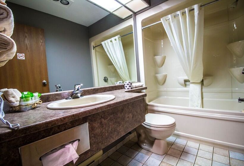 Companion Hotel Motel