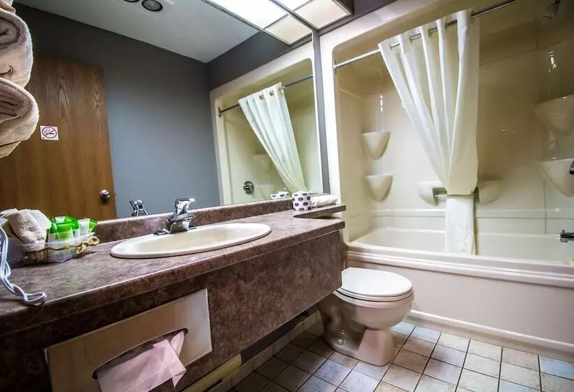 Companion Hotel Motel