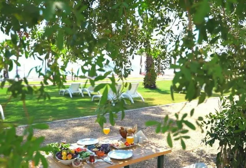 Dolunay Suit & Beach