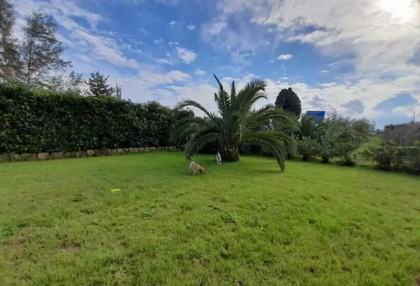 ホテル Residence Vallecorsa