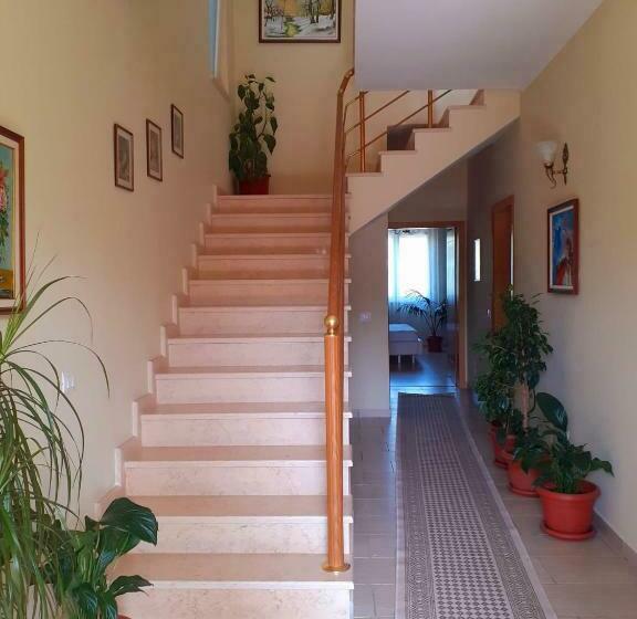 Pensjonat Guest House Zadeja