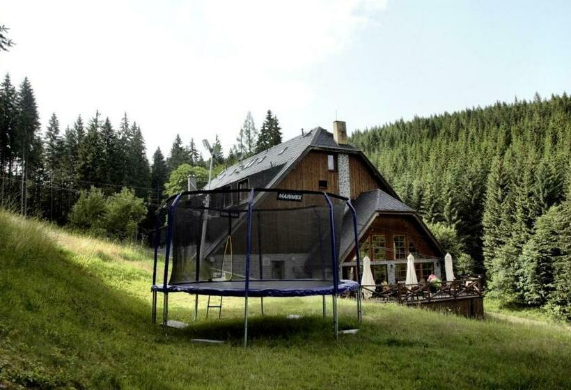Pensionat Horský Hotel Vidly