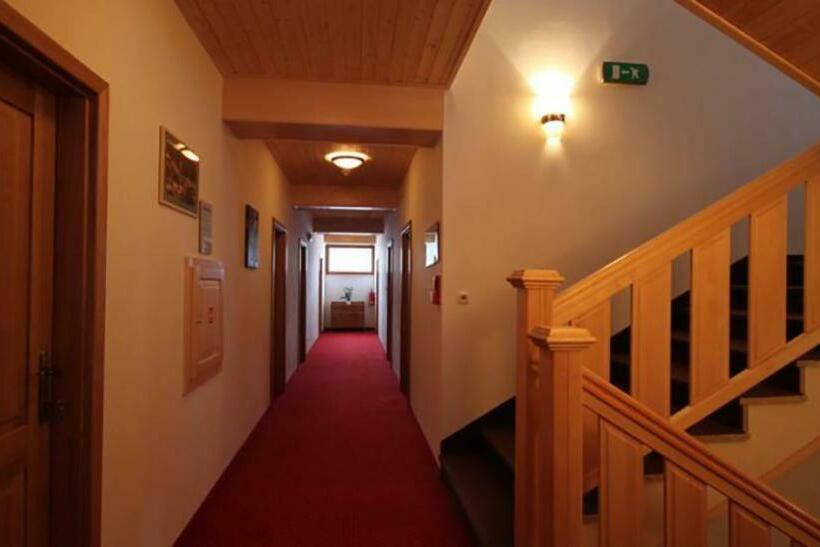 Pensionat Horský Hotel Vidly