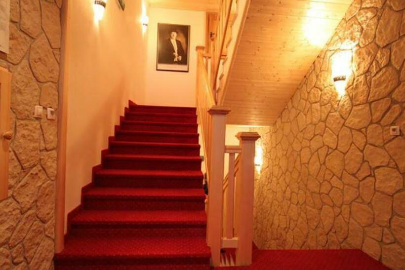 Pensionat Horský Hotel Vidly