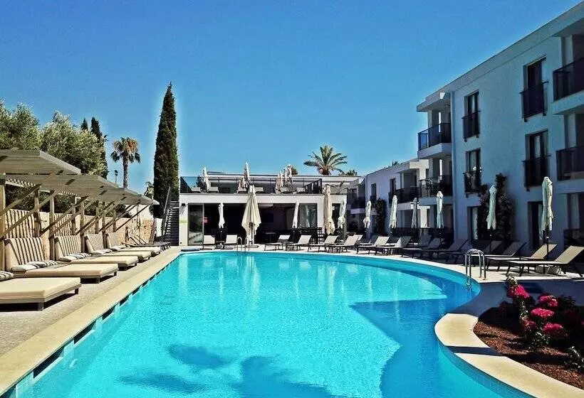 Queen Residence & Apart