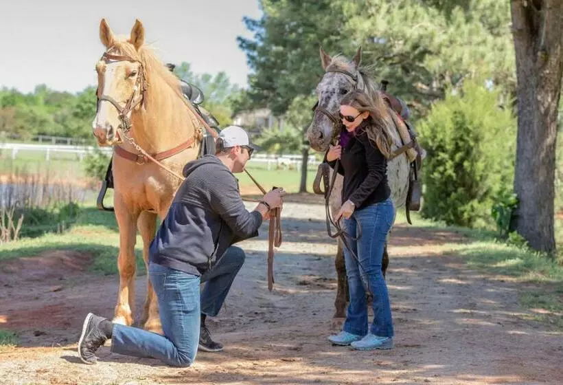 リゾートホテル Southern Cross Guest Ranch