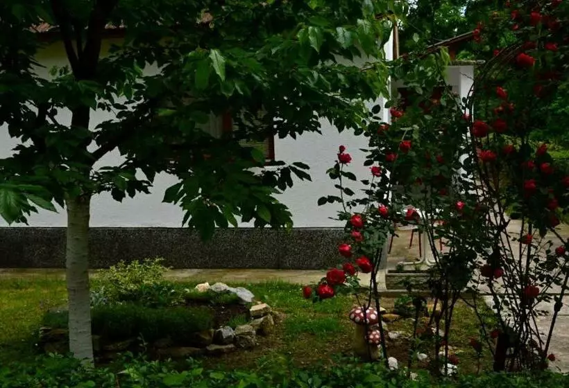 Una Rosa Hostel