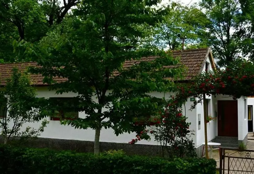 Una Rosa Hostel