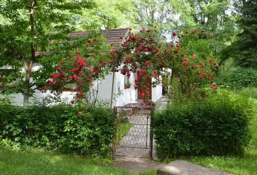 Una Rosa Hostel