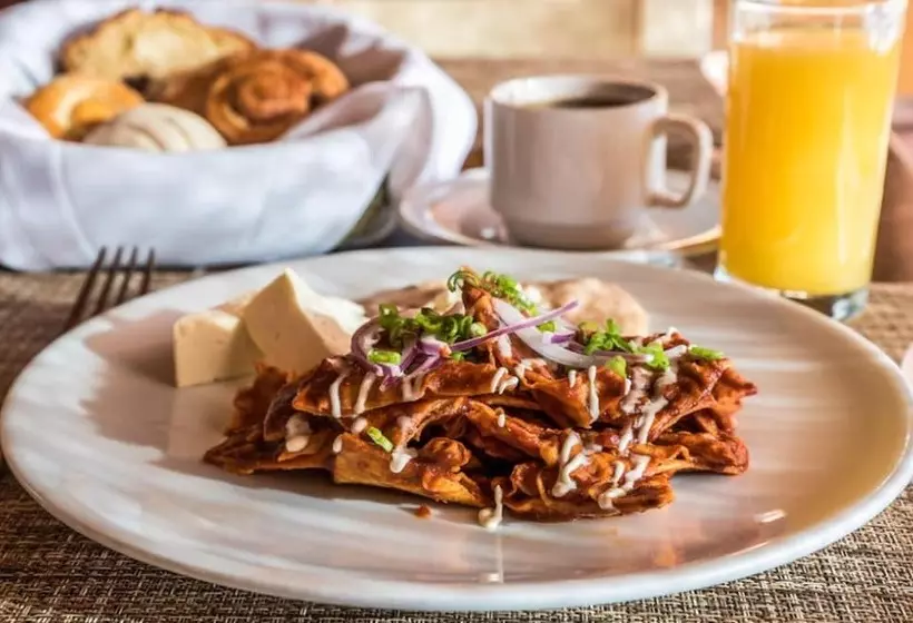 호텔 El Mirador Balderrama Collection