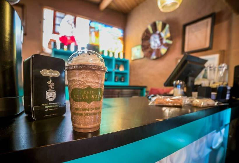 فندق El Mirador Balderrama Collection