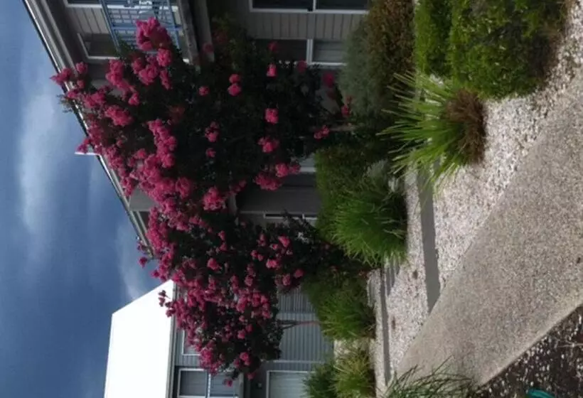 ホテル Quest Williamstown North